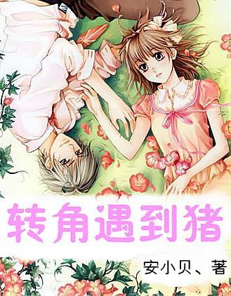 2024学习关于抗美援朝战争的空中卫士—孙生禄PPT课件分享
